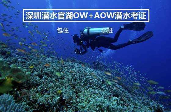 罗马诺:多队想签布莱斯维特,若西班牙人升级今夏可自由离队