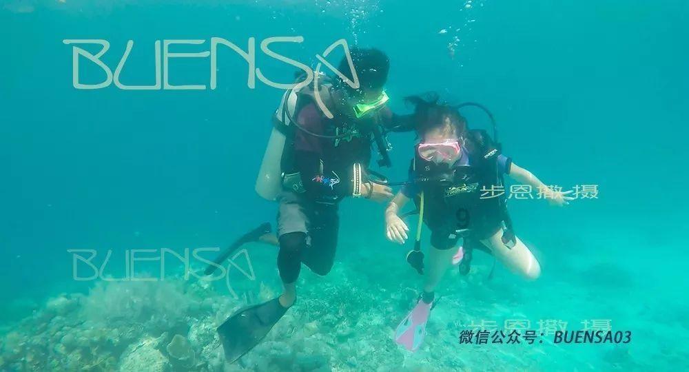 全民烧脑3去广告版