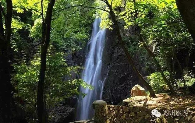 佛山南狮将征战中甲