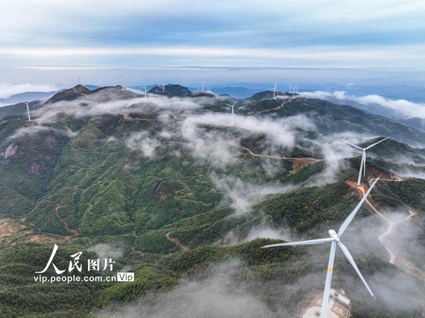 虫虫助手下载