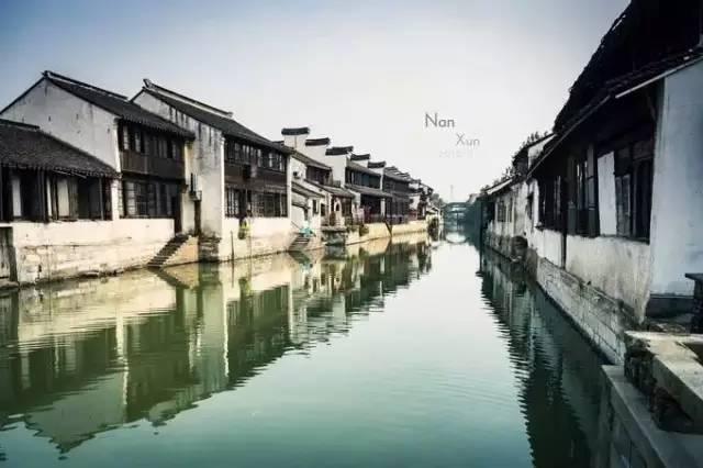 光阳蛋鸭产业研究院成立